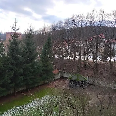 золота Polyana (Transcarpathia)