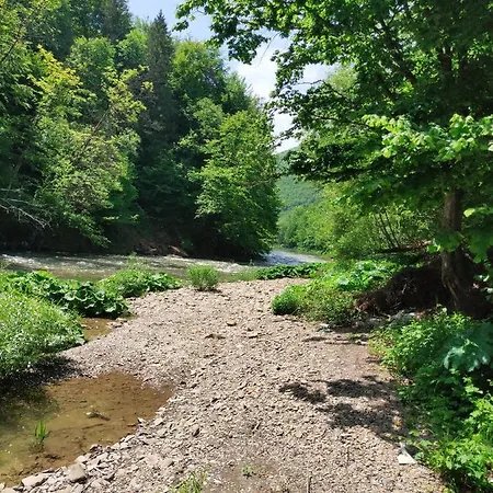 золота Appartement *