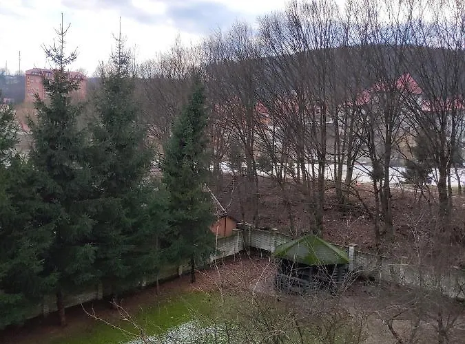 золота Polyana (Transcarpathia)