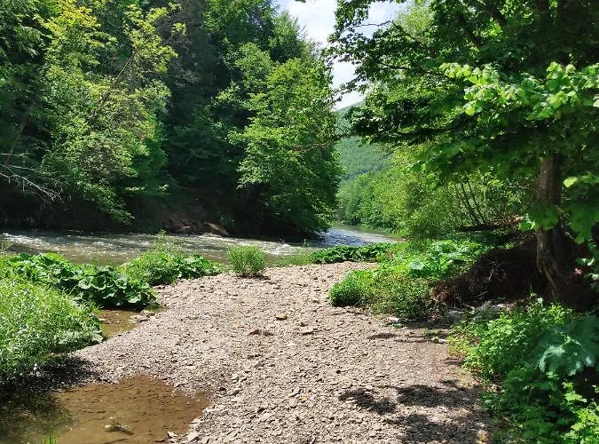 золота Apartment *